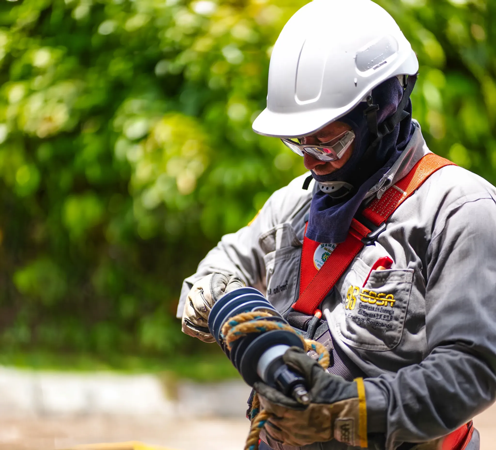 Gestión regulatoria