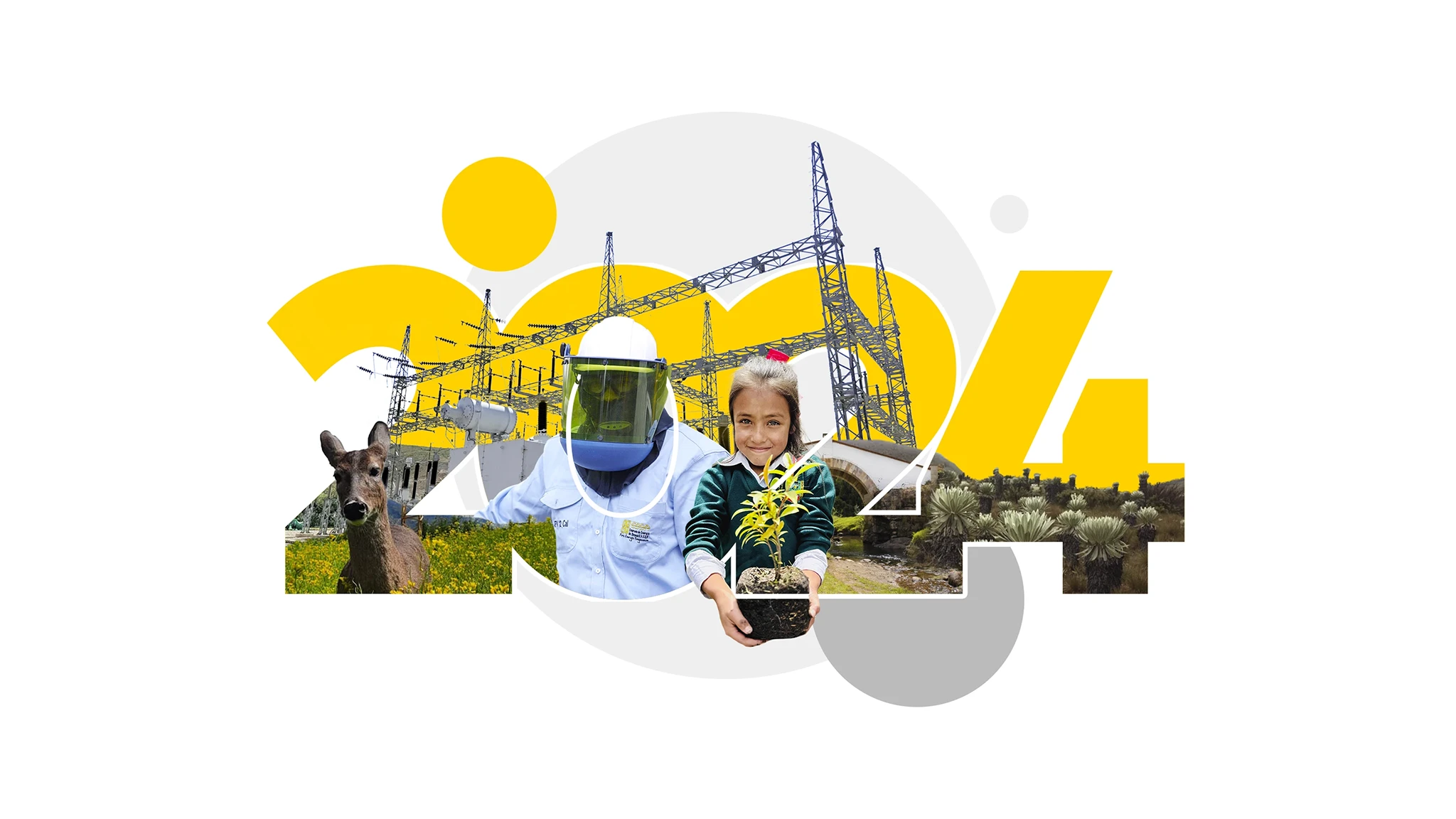 Informe de Sostenibilidad - EBSA 2024